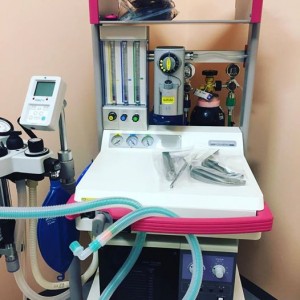 12832290_1027014407373796_3935639931362204000_n